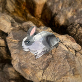 Pince à Cheveux I Lapin